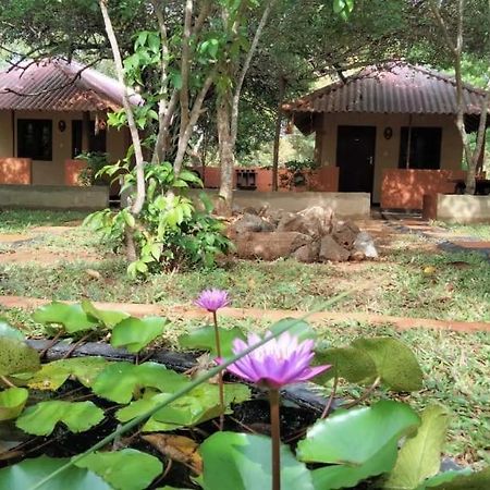 Hotel Niyagala Lodge Szigirija Kültér fotó
