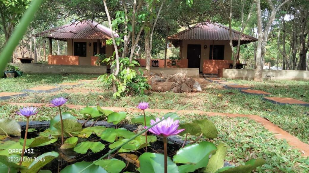 Hotel Niyagala Lodge Szigirija Kültér fotó