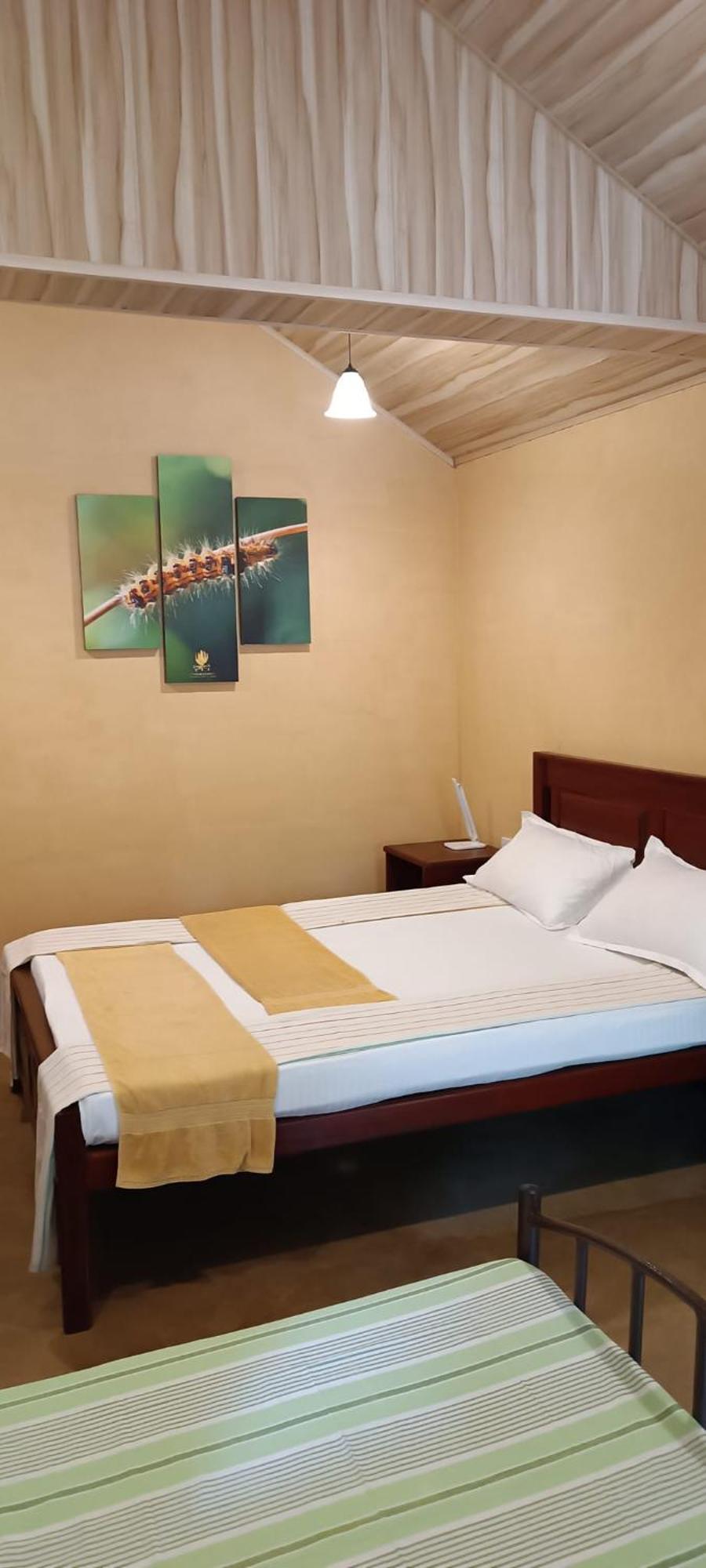 Hotel Niyagala Lodge Szigirija Kültér fotó