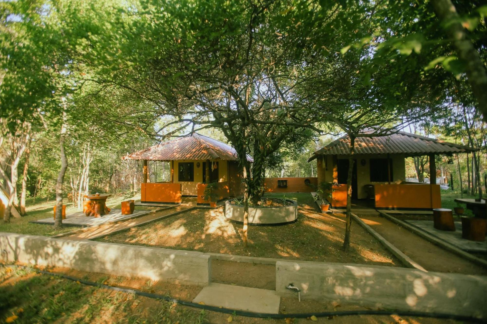 Hotel Niyagala Lodge Szigirija Kültér fotó