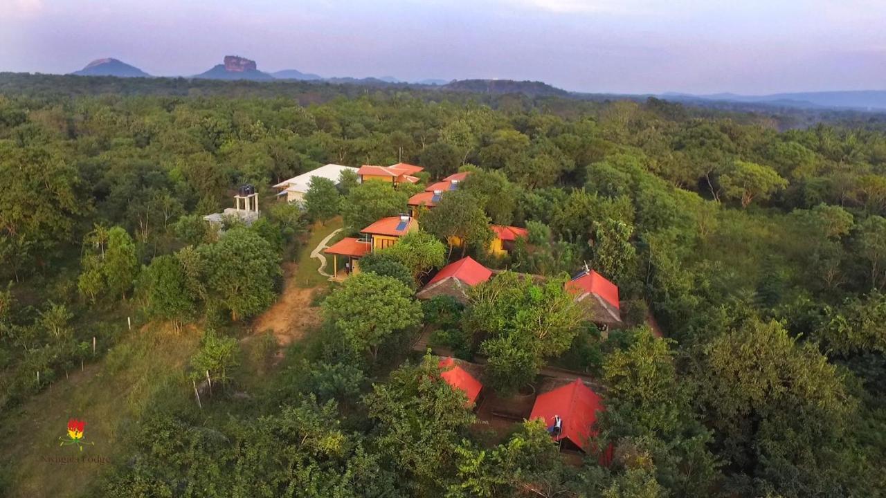 Hotel Niyagala Lodge Szigirija Kültér fotó