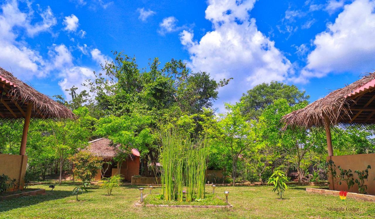 Hotel Niyagala Lodge Szigirija Kültér fotó