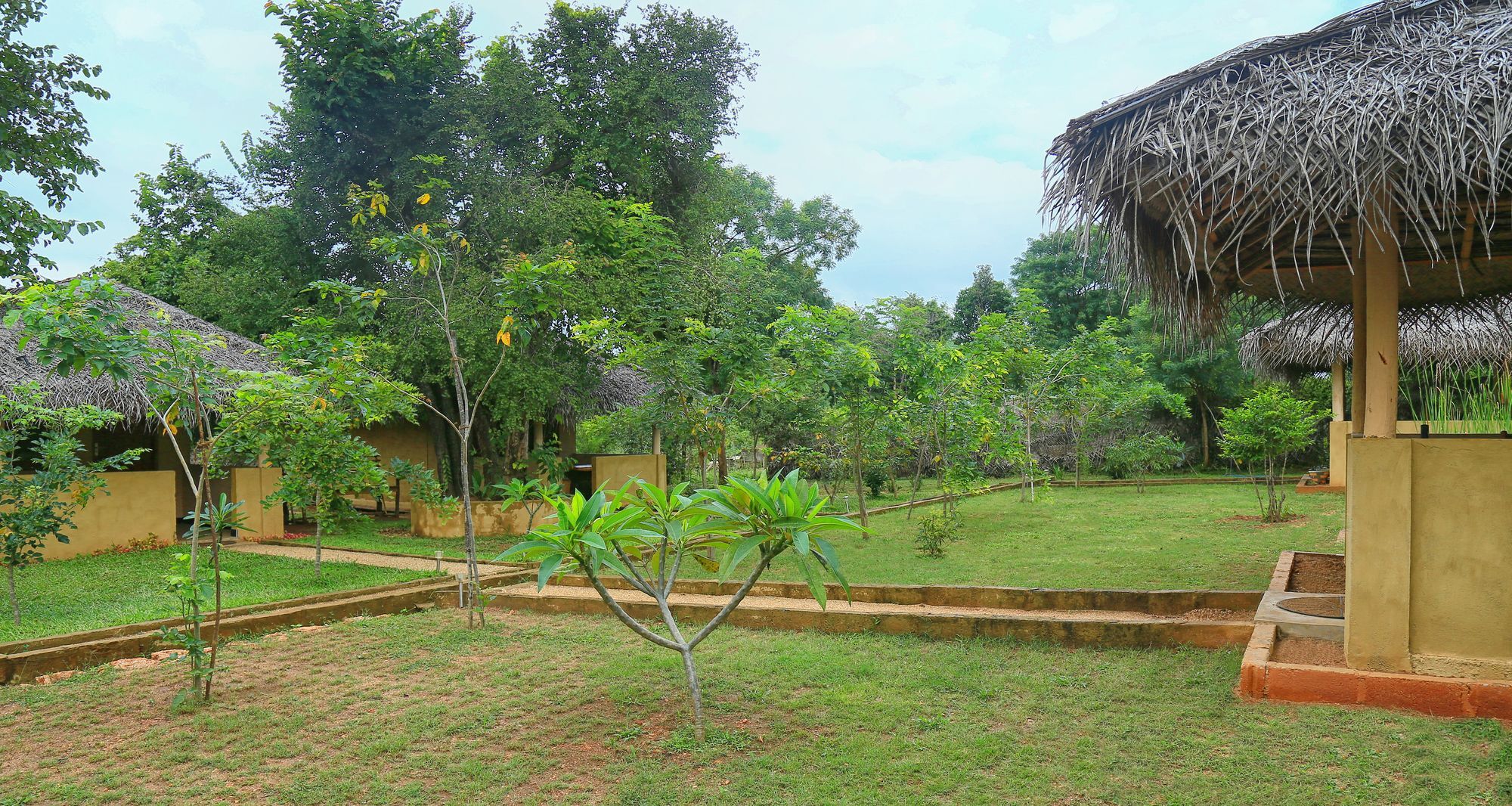 Hotel Niyagala Lodge Szigirija Kültér fotó